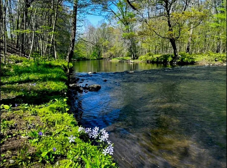 *** Airport Rd, Liberty Township, PA 16127 - Image #2