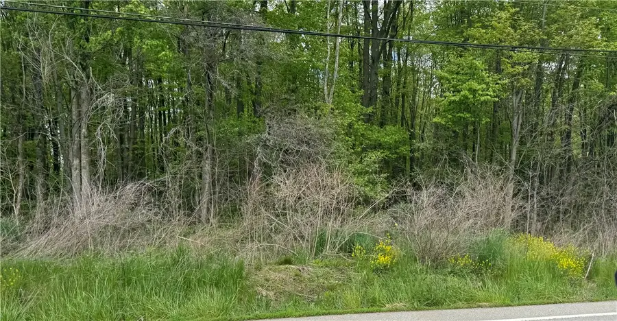 1109 Mercer West Middlesex Rd, East Lackawannock, PA 16137 - Image #3