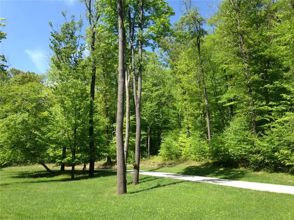 Lot 28 Grouse Point, Champion, PA 15622 - Image #1