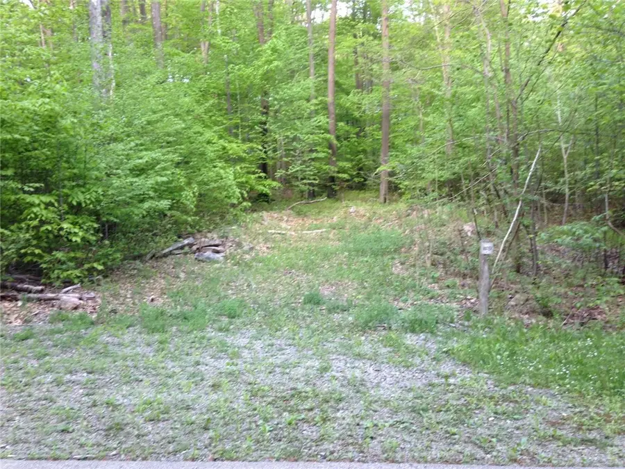 Lot 28 Grouse Point, Champion, PA 15622 - Image #2