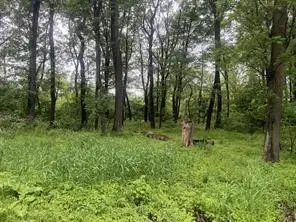 Lots 89 and 90 Laurel Summit Road, Jennerstown, PA 15531 - Image #1