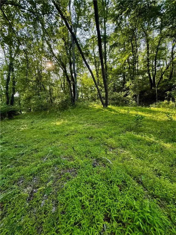 0 Nellie School Rd, Dunbar Township, PA 15486 - Image #2