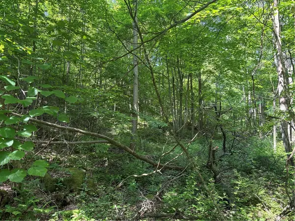 000 Fowl Hill Rd, Saltlick Twp, PA 15462