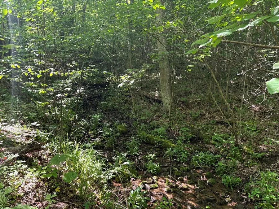 000 Fowl Hill Rd, Saltlick, PA 15462 - Image #3