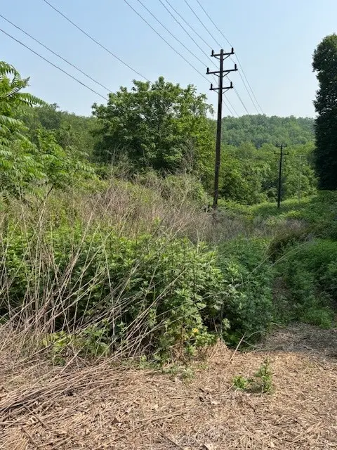 0 Washington Blvd, Liberty, PA 15133 - Image #2