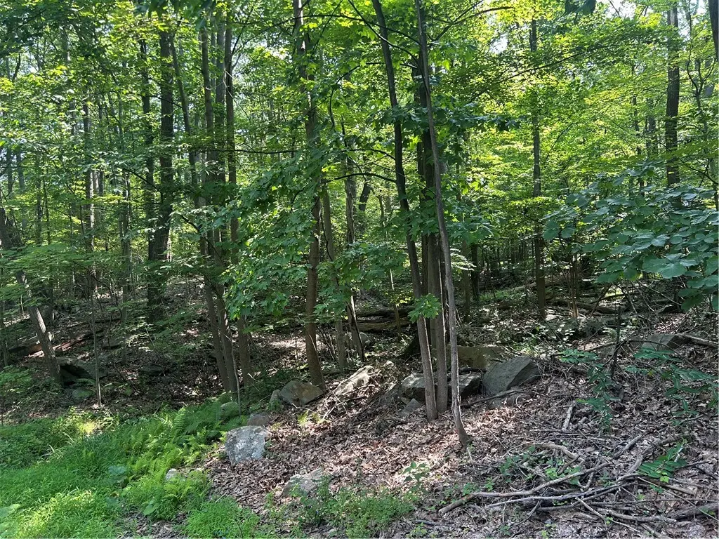 LOT 934 Ski Slope Rd, Bear Rocks, PA 15610 - Image #1
