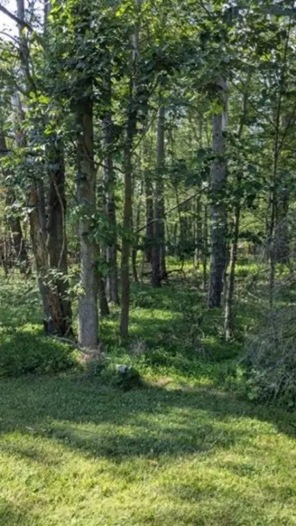 4 Horse Shoe Bend Rd, Bear Rocks, PA 15610 - Image #2