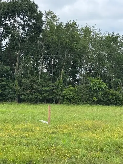 1004 Christina Court Lot 3, Level Green, PA 15085 - Image #2