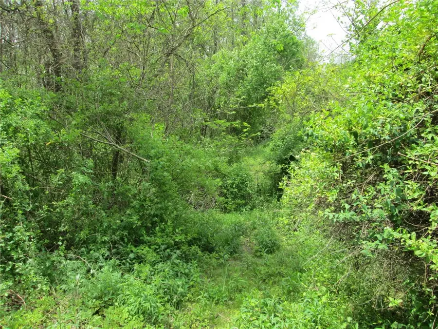 208 Briar Hill Rd, East Franklin, PA 16201 - Image #3