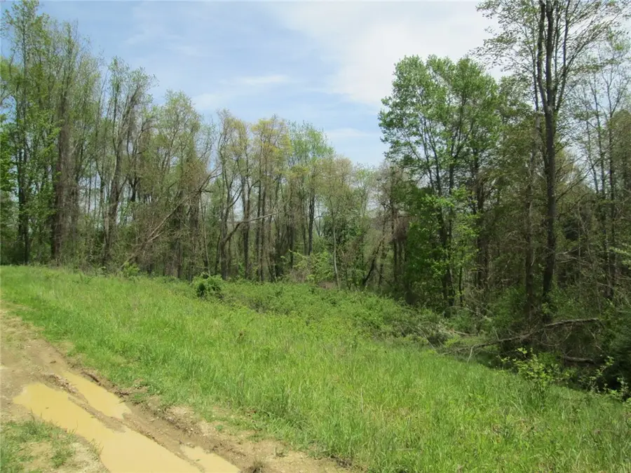 217 Briar Hill Rd, East Franklin, PA 16201 - Image #2