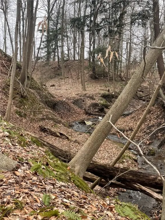 8498 E Lake Road, Harborcreek, PA 16511 - Image #3