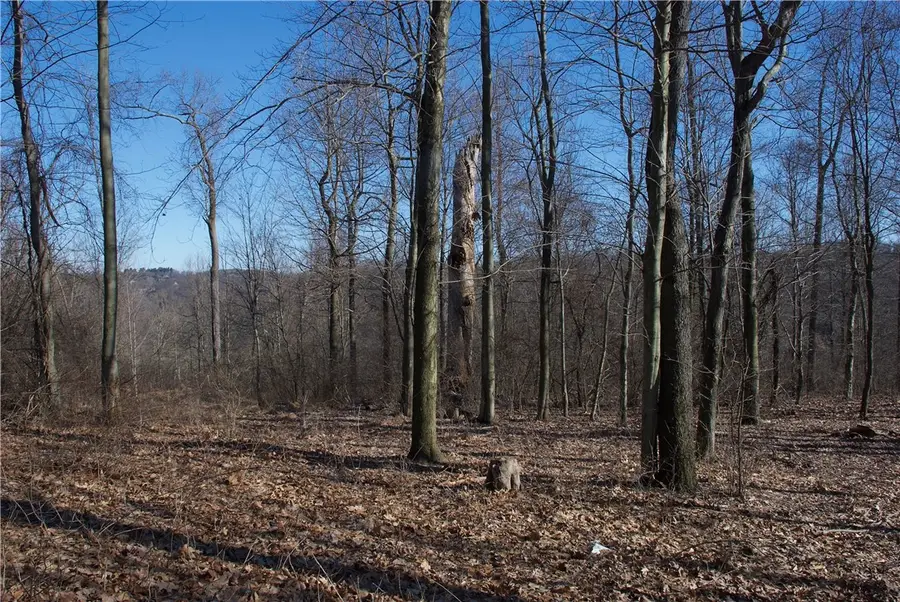 0 Audubon Road, Sewickley Heights, PA 15143 - Image #3