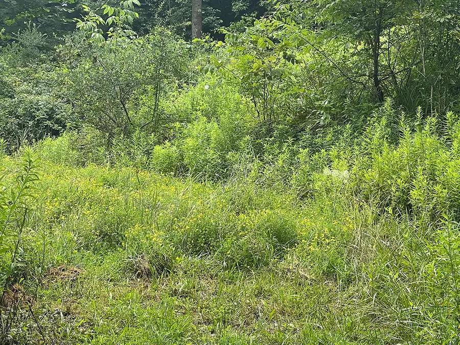 0 Wise Lane, Cherryhill, PA 15728 - #3