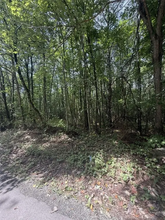 69 Mt Tabor Rd, Springfield, PA 15425 - Image #3