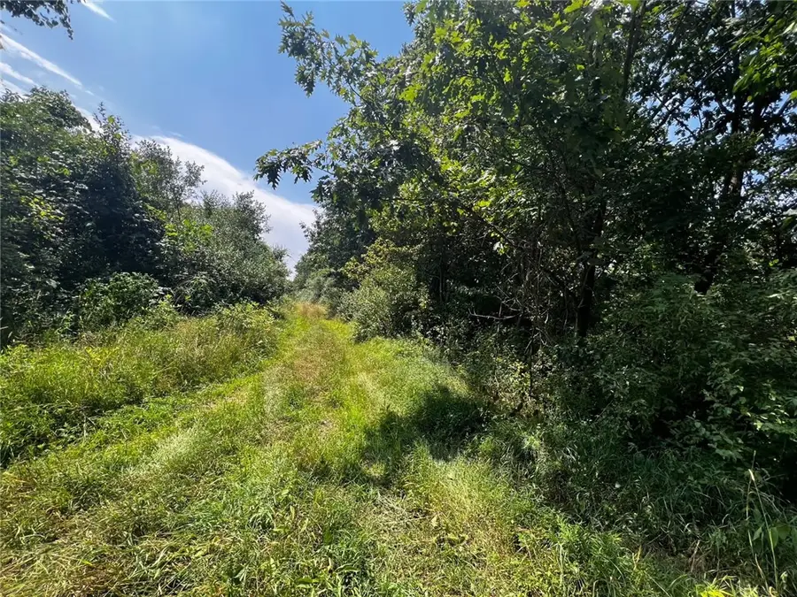 142.19 Acs. Along Elkin & Beck Roads, Rayburn, PA 16201 - Image #2