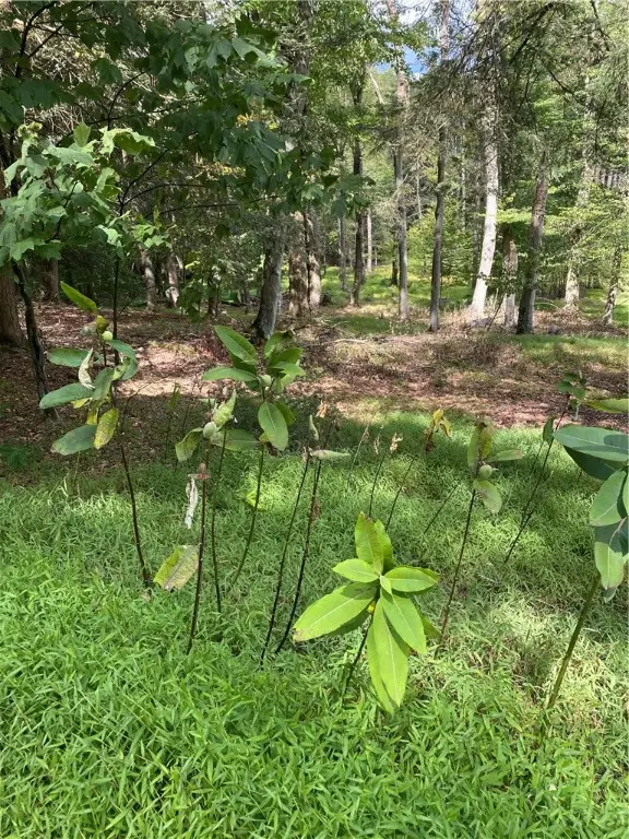 422 Red Oak Road, Flinton, PA 16640