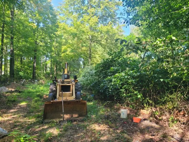 74 Daugherty Rd, Pine, PA 16127 - Image #3