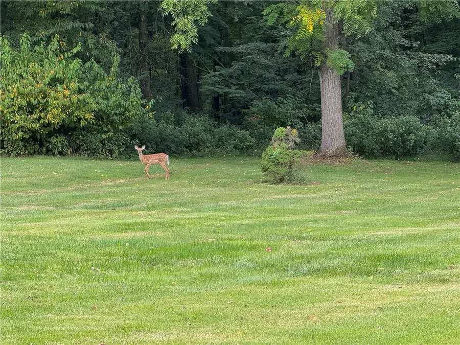 1810 Tony St, Shenango, PA 16101 - Image #3