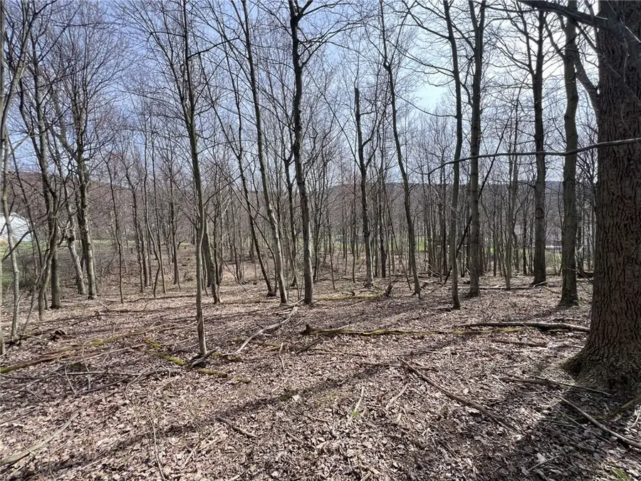 222 Hopwood Coolspring Rd, Hopwood, PA 15445 - #3