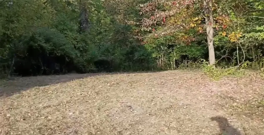 51 Mcmichael Rd, Carnegie, PA 15106 - Image #2