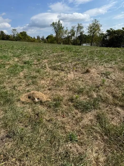 0 Mcgovern, Canton, PA 15301 - Image #1