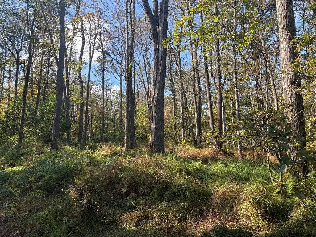 0000 County Line Rd, Champion, PA 15622 - Image #1