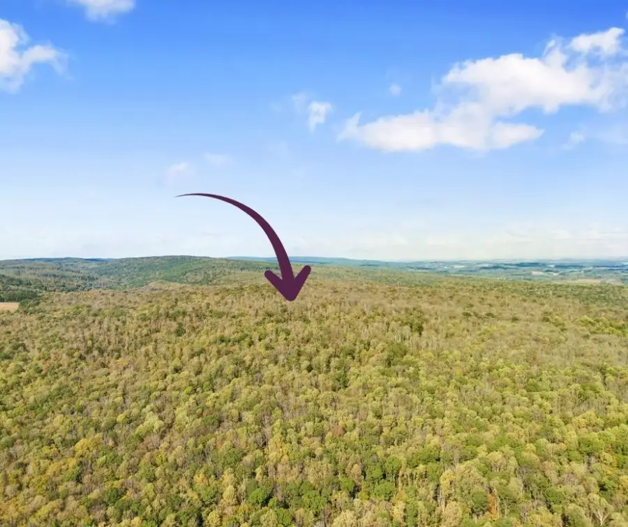 0000 County Line Rd, Champion, PA 15622 - Image #2