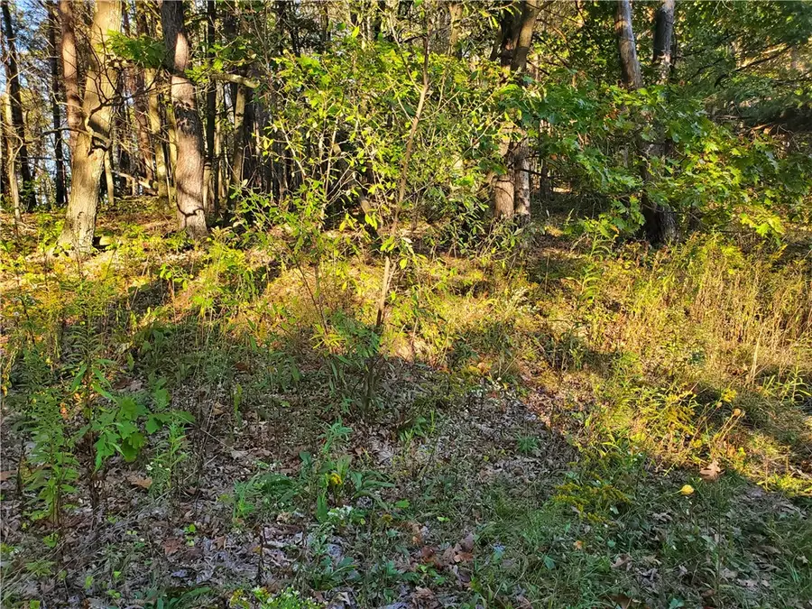 TBD Morrow Road, Home, PA 15747 - Image #3