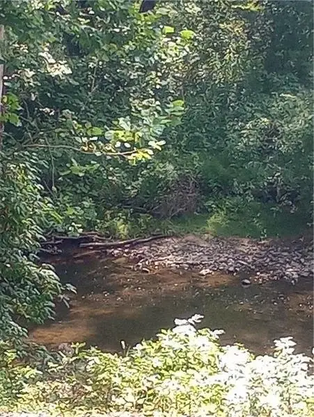 11 Maple Drive, Springfield, PA 16156 - Image #1