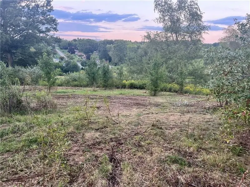 Lot #2 Saxonburg Road, Butler, PA 16002 - #1