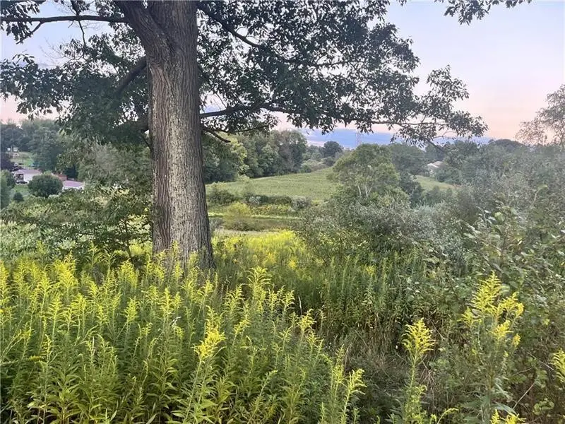 Lot #2 Saxonburg Road, Butler, PA 16002 - #2