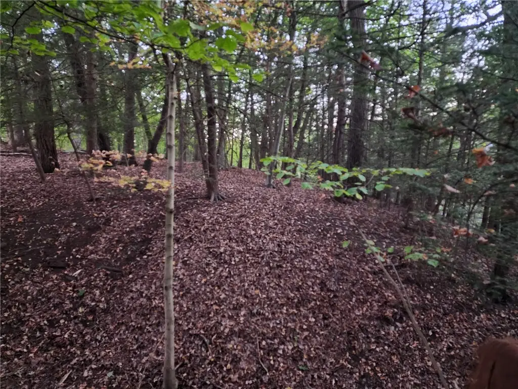 000 Barclay Hill Rd, Industry, PA 15052 - Image #1