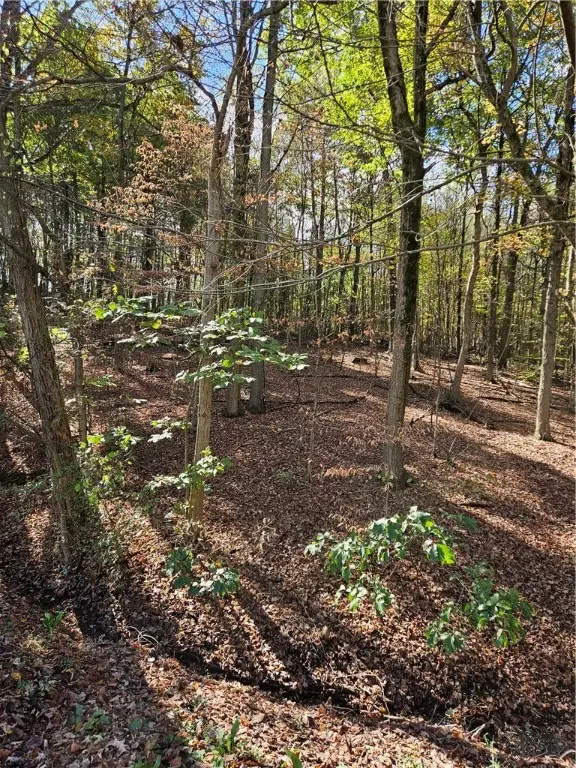 0 Ridge Road, South Beaver, PA 16115 - Image #2