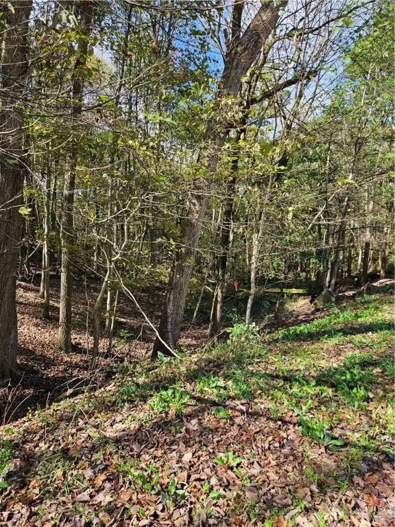 0 Ridge Road, South Beaver, PA 16115 - Image #3