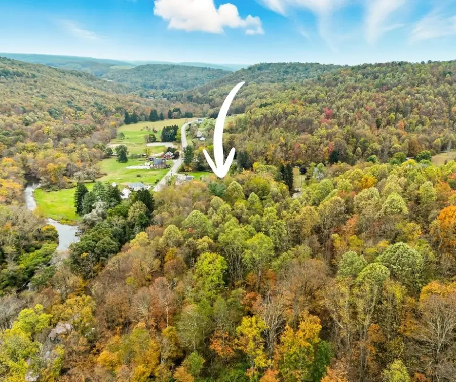 103 Wash Run Rd, Saltlick, PA 15446 - Image #3