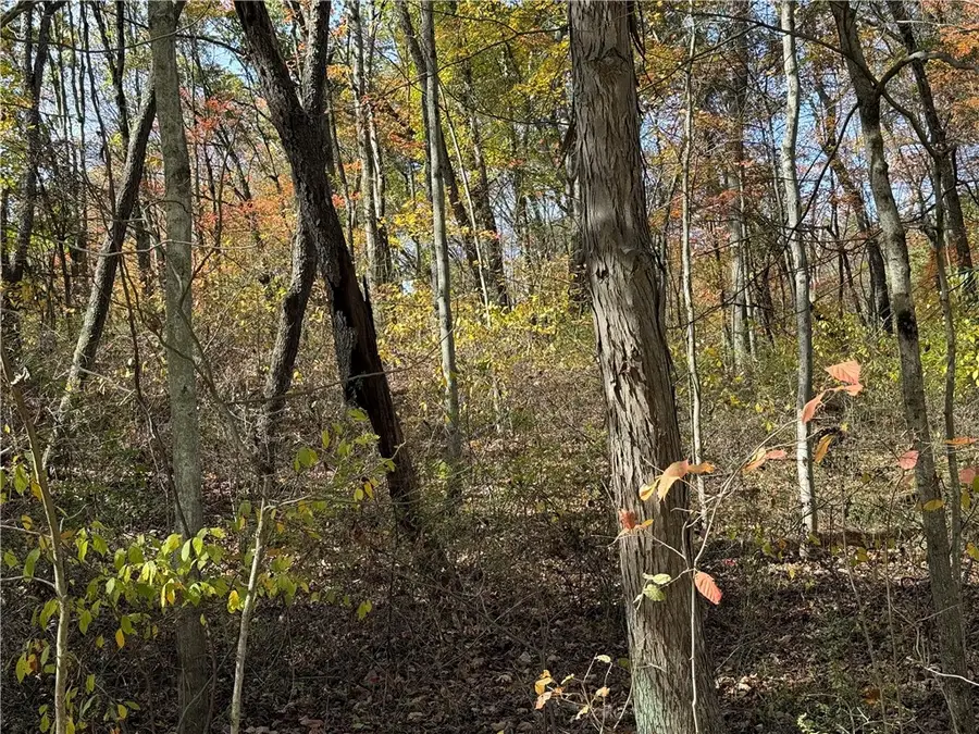 000 Mcbride Rd, West Liberty, PA 16057 - #3