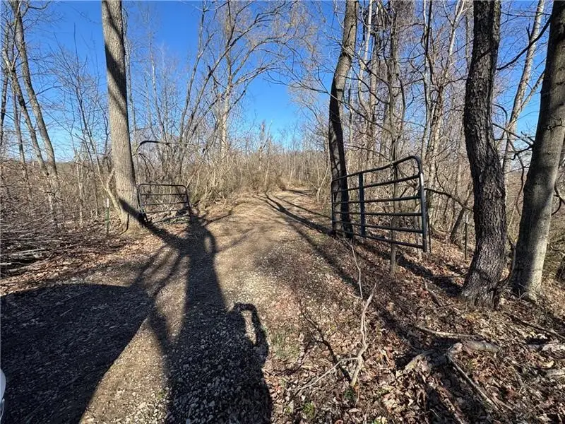 00 Fallen Timber, Independence, PA 15312 - Image #2