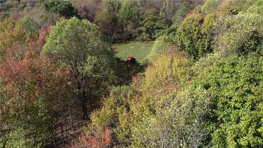 850 Hickernell Rd, Perry, PA 16117 - Image #3