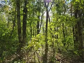 000 Lot 24 Dally Road, Long Branch, PA 15423 - #2