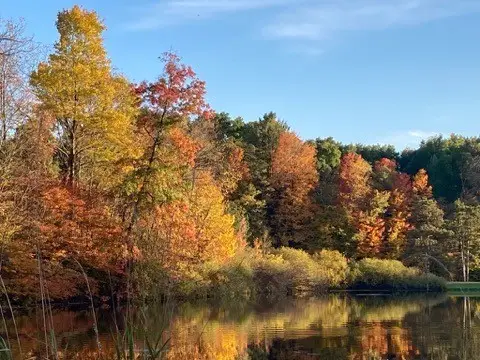 1725 Mount Jackson Rd, North Beaver, PA 16120 - Image #3