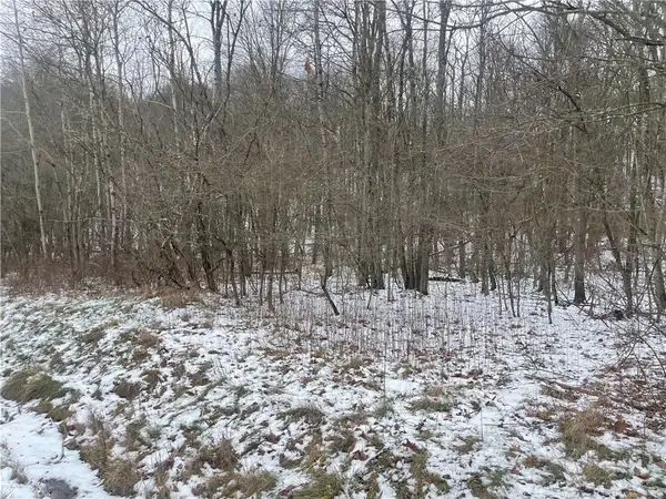 lot175 Kittanning Run, Claysburg, PA 16625