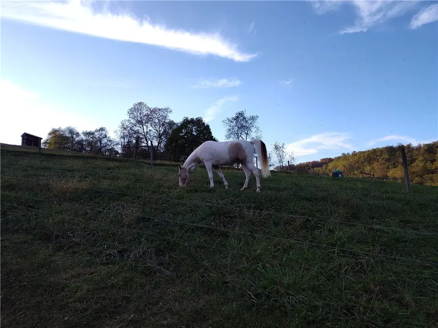 327/329 Sugar Run Road, Franklin, PA 15370 - Image #2