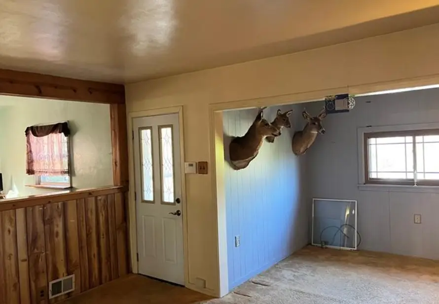 17 Norwood St, McKees Rocks, PA 15136 - Image #3