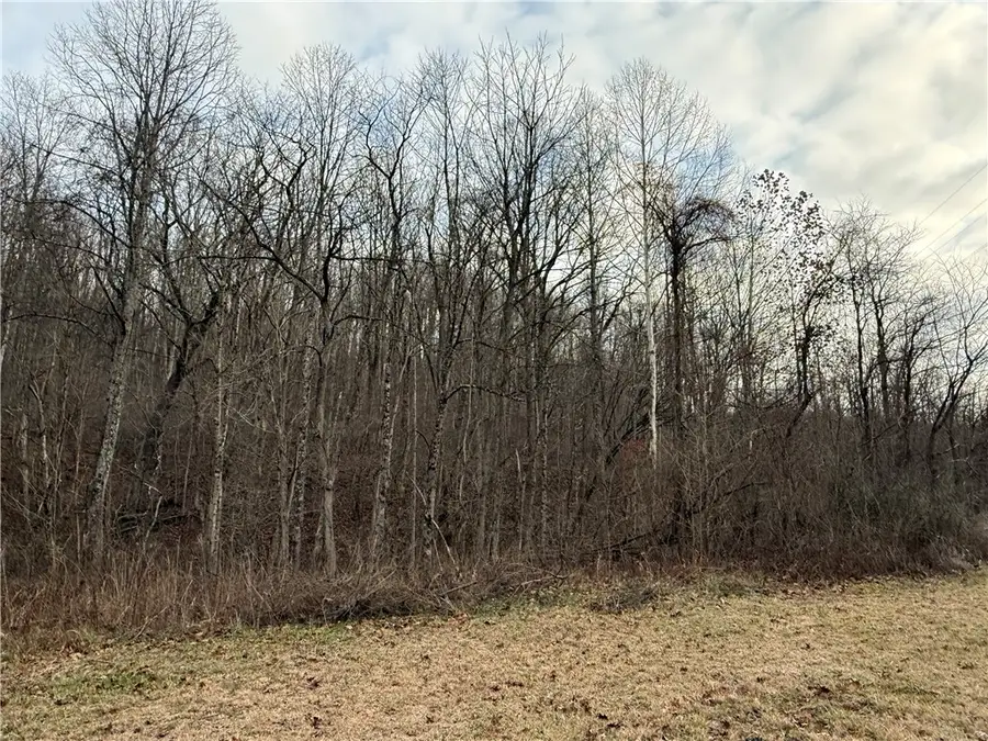 1 Polecat Hollow Rd, Whiteley, PA 15370 - Image #3