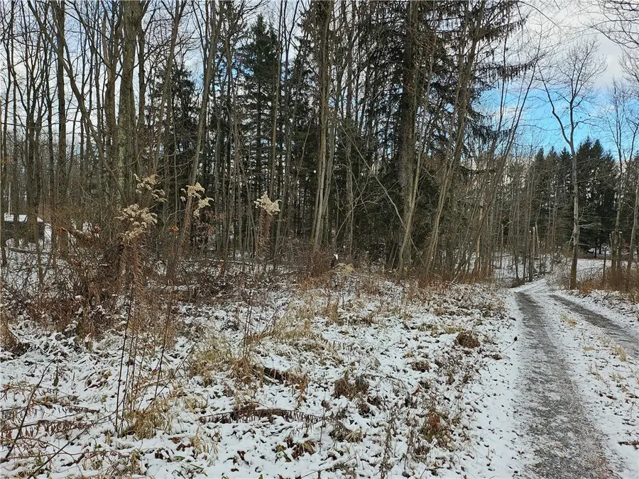 Lot 0 Branchton Road, Cherry, PA 16020 - Image #3