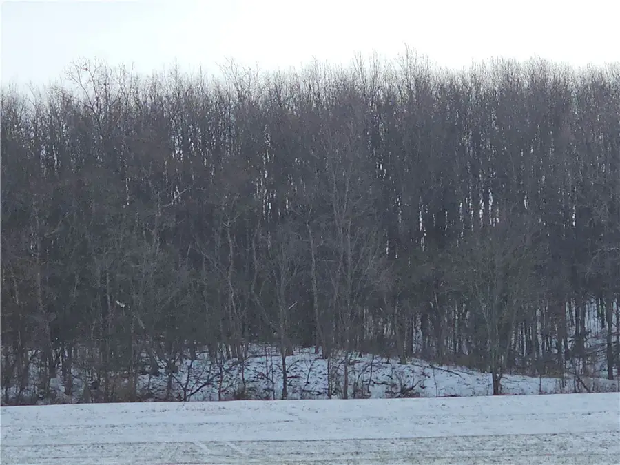 0 Concord Church Rdrt#588, Marion, PA 15010 - #3