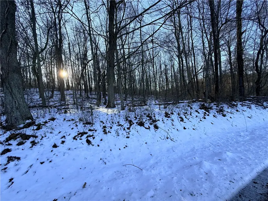 00 Willow Road, Armstrong, PA 15701 - Image #2