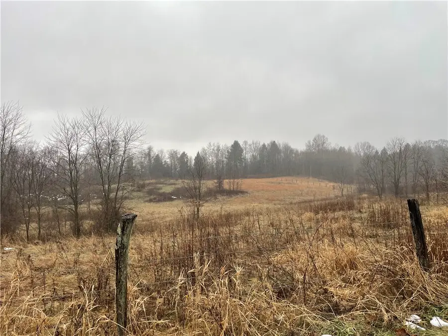 8251 Debolt Road, East Fallowfield, PA 16316 - Image #2