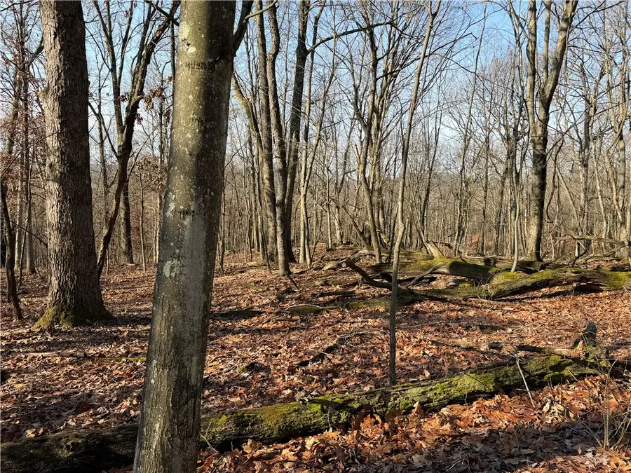 1172 Middle Road Ext, West Deer, PA 15044 - Image #2