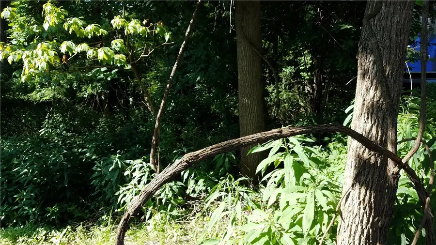 0 S Route 119, Hempfield, PA 15601 - Image #2